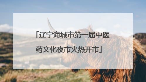 辽宁海城市第一届中医药文化夜市火热开市