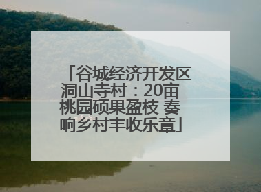 谷城经济开发区洞山寺村：20亩桃园硕果盈枝 奏响乡村丰收乐章