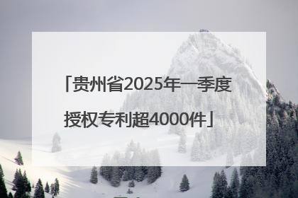 贵州省2025年一季度授权专利超4000件