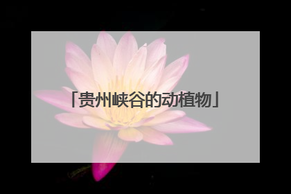 贵州峡谷的动植物