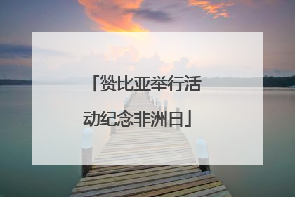 赞比亚举行活动纪念非洲日