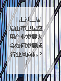 走过三届 眉山市卫星应用产业发展大会如何发展成行业风向标？