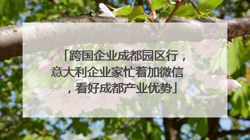 跨国企业成都园区行，意大利企业家忙着加微信，看好成都产业优势