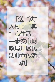 送“法”入村，“典”亮生活——泰安市财政局开展民法典宣传活动