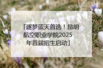 逐梦蓝天首选！昆明航空职业学院2025年首届招生启动