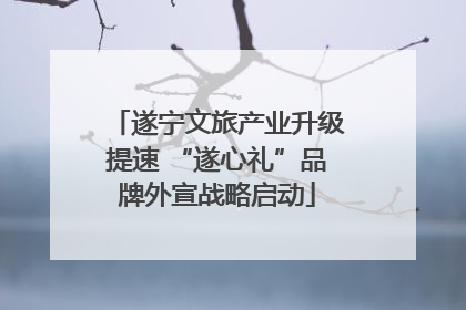遂宁文旅产业升级提速 “遂心礼”品牌外宣战略启动