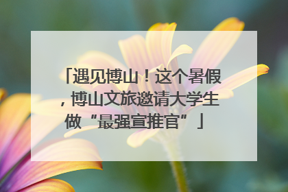遇见博山！这个暑假，博山文旅邀请大学生做“最强宣推官”