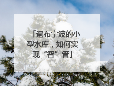 遍布宁波的小型水库，如何实现“智”管
