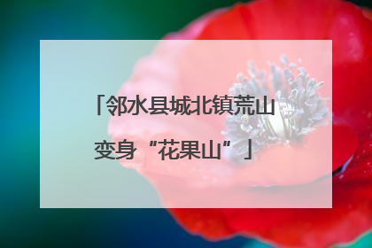 邻水县城北镇荒山变身“花果山”
