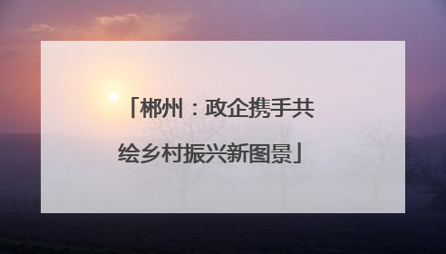 郴州：政企携手共绘乡村振兴新图景
