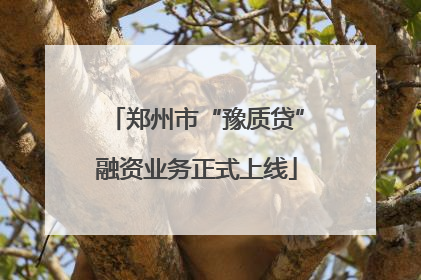 郑州市“豫质贷”融资业务正式上线