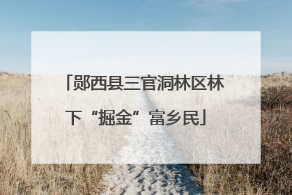 郧西县三官洞林区林下“掘金”富乡民