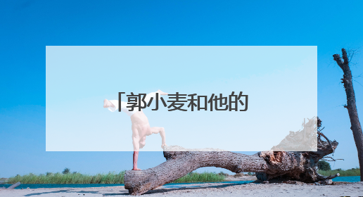 郭小麦和他的“老搭档”