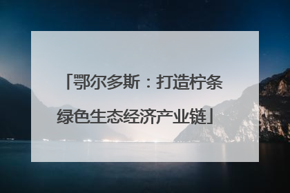 鄂尔多斯：打造柠条绿色生态经济产业链