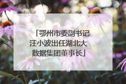 鄂州市委副书记汪小波出任湖北大数据集团董事长
