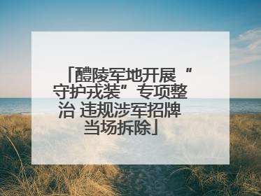 醴陵军地开展“守护戎装”专项整治 违规涉军招牌当场拆除
