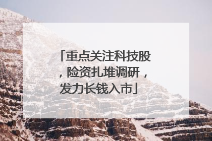 重点关注科技股，险资扎堆调研，发力长钱入市