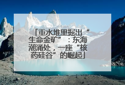 重水堆里掘出“生命金矿”：东海潮涌处，一座“核药硅谷”的崛起