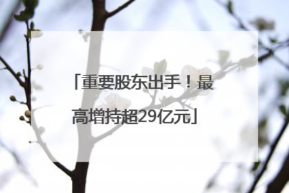 重要股东出手！最高增持超29亿元