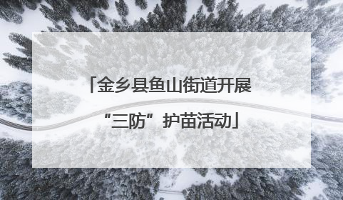 金乡县鱼山街道开展“三防”护苗活动