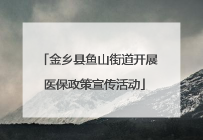 金乡县鱼山街道开展医保政策宣传活动