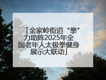 金家岭街道“拳”力助阵2025年全国老年人太极拳健身展示大联动