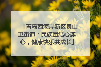 青岛西海岸新区灵山卫街道：民族团结心连心，健康快乐共成长