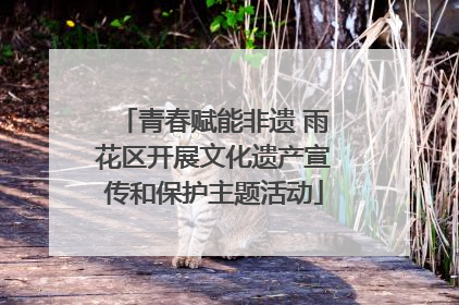 青春赋能非遗 雨花区开展文化遗产宣传和保护主题活动