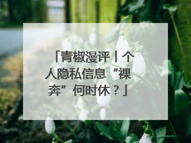 青椒漫评丨个人隐私信息“裸奔”何时休？