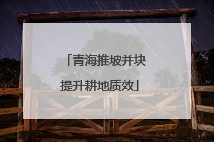 青海推坡并块提升耕地质效
