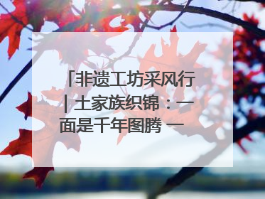 非遗工坊采风行｜土家族织锦：一面是千年图腾 一面是幸福画卷