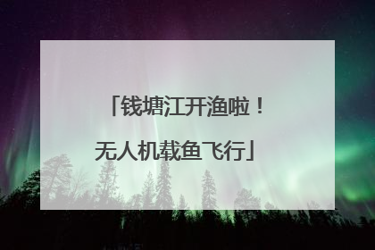 钱塘江开渔啦！无人机载鱼飞行