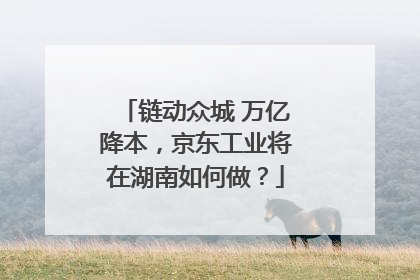 链动众城 万亿降本，京东工业将在湖南如何做？