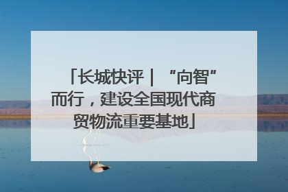 长城快评｜“向智”而行，建设全国现代商贸物流重要基地