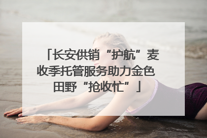 长安供销“护航”麦收季托管服务助力金色田野“抢收忙”