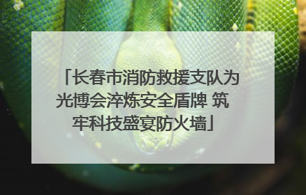 长春市消防救援支队为光博会淬炼安全盾牌 筑牢科技盛宴防火墙