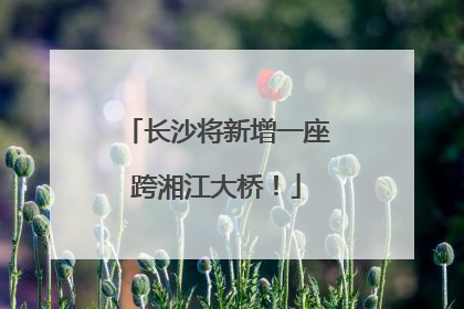 长沙将新增一座跨湘江大桥！