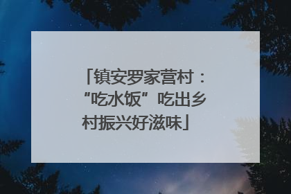 镇安罗家营村：“吃水饭”吃出乡村振兴好滋味