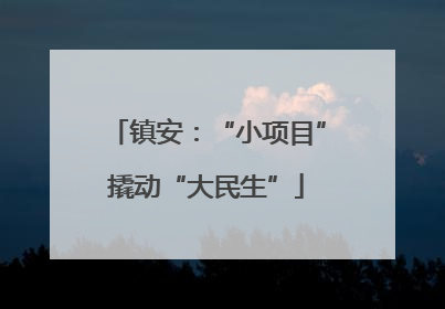 镇安：“小项目”撬动“大民生”
