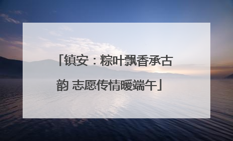 镇安：粽叶飘香承古韵 志愿传情暖端午