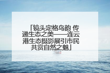 镜头定格鸟韵 传递生态之美——连云港生态摄影展引市民共赏自然之魅