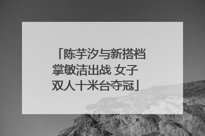 陈芋汐与新搭档掌敏洁出战 女子双人十米台夺冠