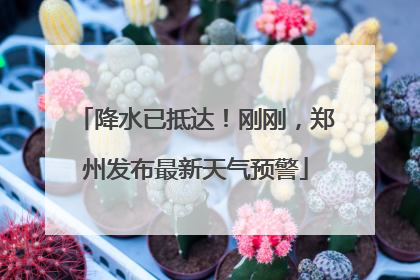 降水已抵达！刚刚，郑州发布最新天气预警