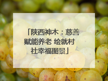 陕西神木：慈善赋能养老 绘就村社幸福图景