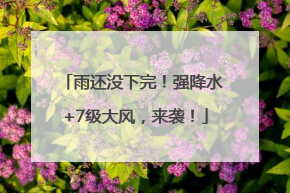 雨还没下完！强降水+7级大风，来袭！