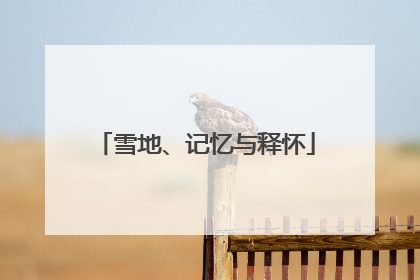 雪地、记忆与释怀