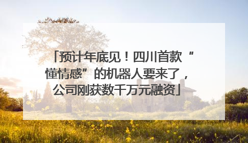 预计年底见！四川首款“懂情感”的机器人要来了，公司刚获数千万元融资