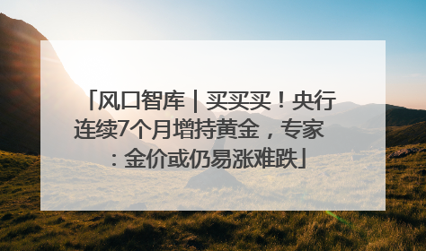 风口智库｜买买买！央行连续7个月增持黄金，专家：金价或仍易涨难跌