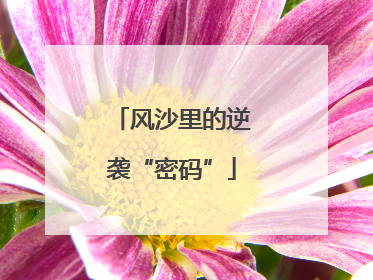 风沙里的逆袭“密码”