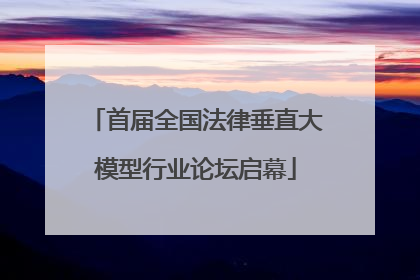 首届全国法律垂直大模型行业论坛启幕